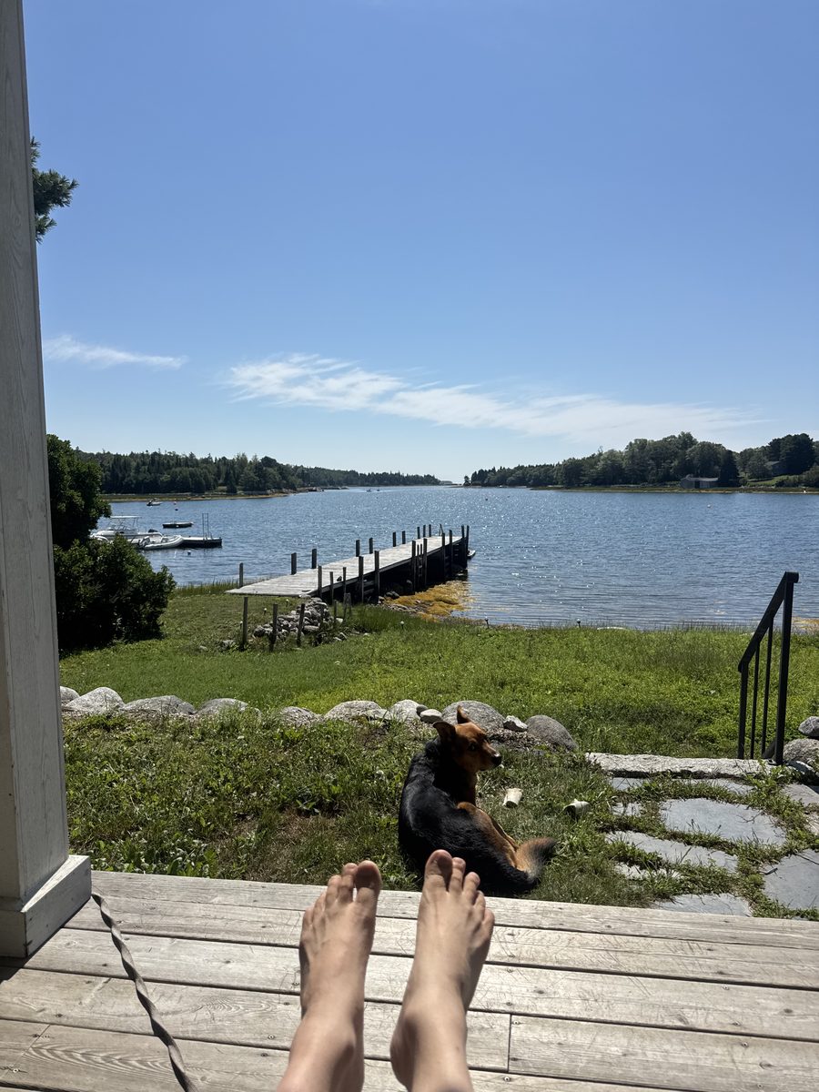 The oceanfront cottage in Nova Scotia where Yes Car No Car began — a dog on the grass beside the water.